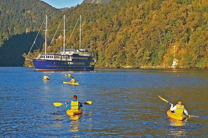 3 Day Doubtful Sound Overnight Cruise and Glowworm Tour from Queenstown - What Makes This Tour Stand Out?