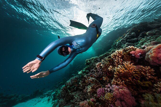 3-Day Freediving Level 1 Course - Why This Freediving Course Stands Out