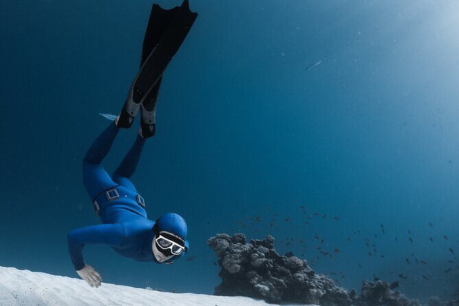 3-Day Freediving Level 1 Course - Day-by-Day Breakdown of the Experience