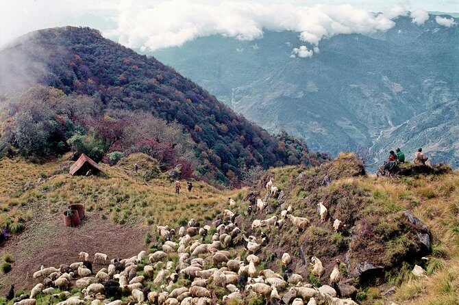 3-Day Ghandruk Loop Trek from Pokhara - Frequently Asked Questions