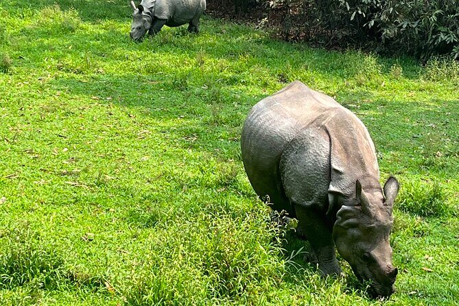 3-Day Guided Safari Tour in Chitwan National Park in Nepal - Practical Details and Value