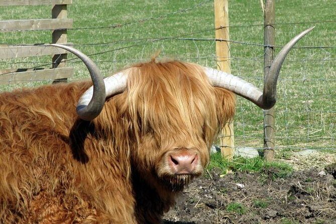 3-Day Isle of Skye and Highlands Tour from Glasgow - An In-Depth Look at the Tour Experience