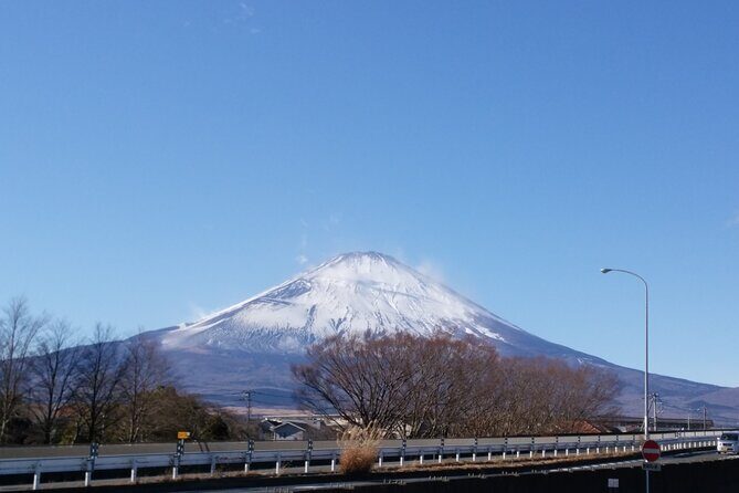 3 Day Japan Highlights Tour: Tokyo, Mt.Fuji, Nara, Kyoto, Osaka - Practical Details and What to Expect