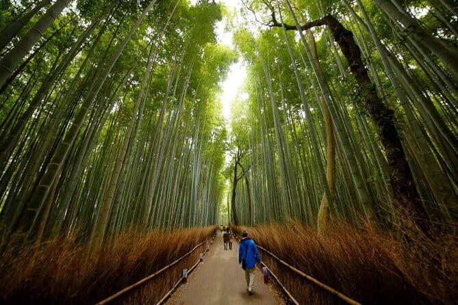 3 Day Japan Tour Kyoto, Osaka & Nara from Tokyo - An In-Depth Look at the 3-Day Japan Tour