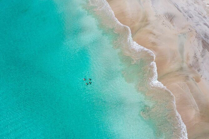 3-Day Kangaroo Island Adventure Tour - A Practical Look at the 3-Day Kangaroo Island Adventure Tour