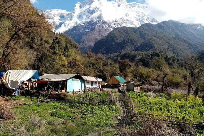 3 Day Kapuche Glacier Lake Trek with Siklesh from Pokhara - Day-by-Day Breakdown