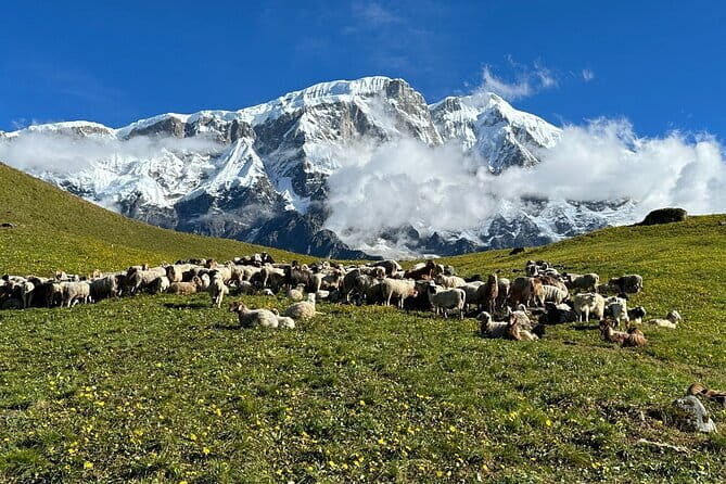 3 Day Kapuche Glacier Lake Trek with Siklesh from Pokhara - Practical Tips for Your Trek