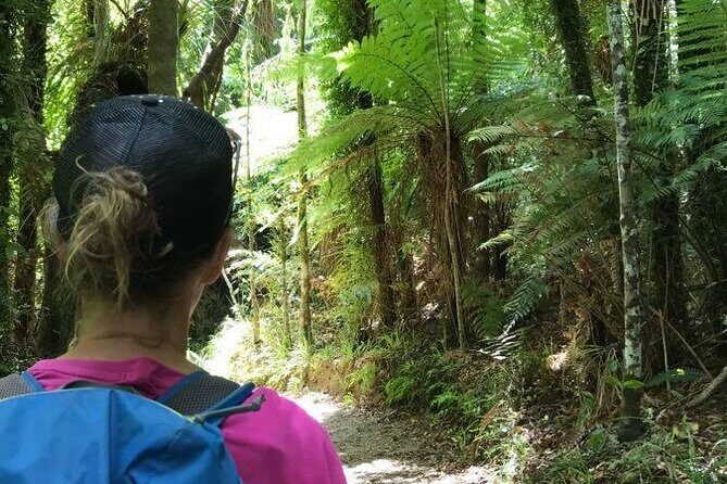 3 Day Kayak & Walk North New Zealand - Key Points