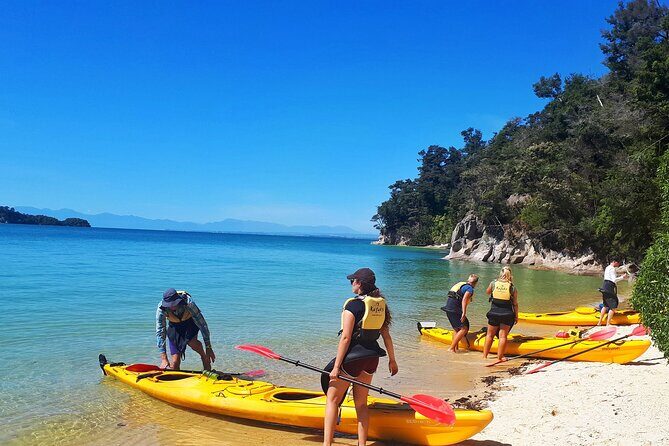 3 Day Kayak & Walk North New Zealand - The Experience, Value, and Practicalities