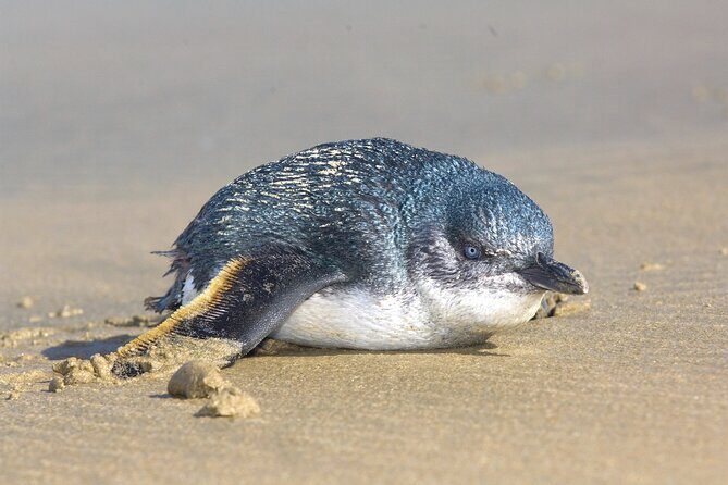 3 Day Kayak & Walk North New Zealand - Who Will Love This Tour?