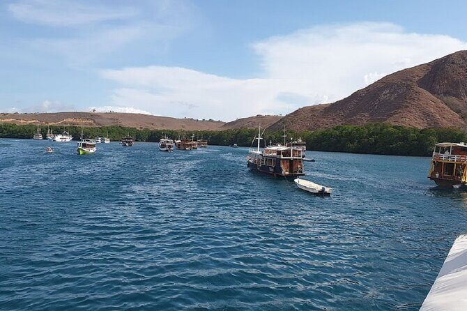 3-Day Komodo island Tour with or without Roundtrip Flight From Bali - Authentic Experiences from Reviews