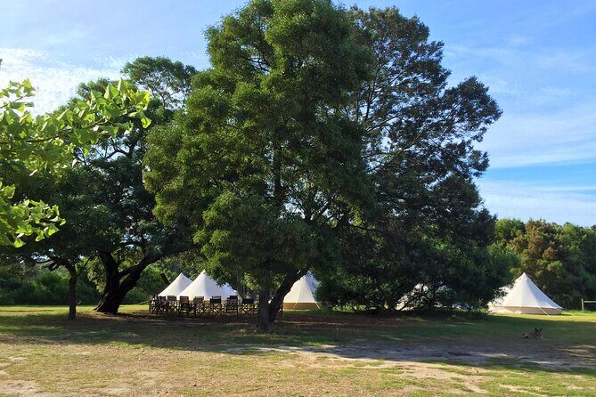 3 Day Margaret River Yoga Wellness Glamping Adventure From Perth - Final Thoughts