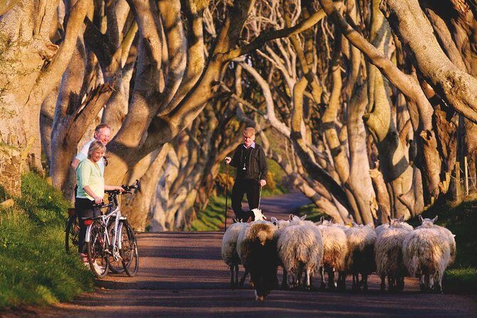 3-Day Northern Ireland Tour from Dublin: Giants Causeway & Titanic Experience - FAQ