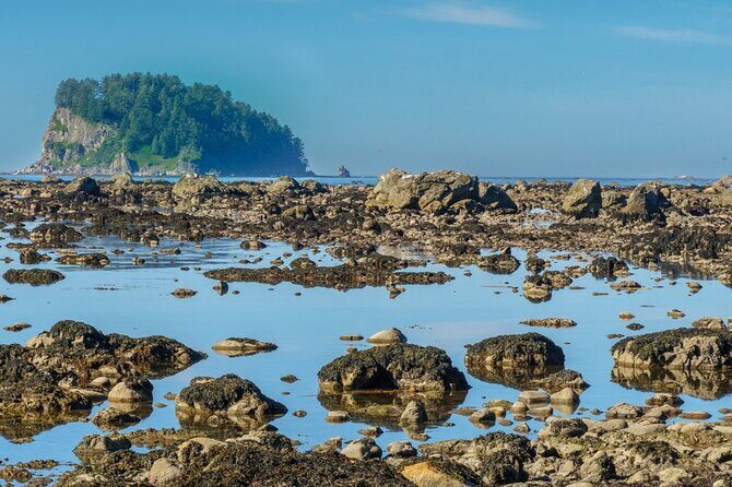 3-Day Olympic Backpacking - The Ozette Coast - FAQs