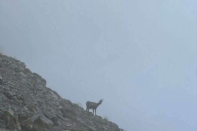 3-Day Olympus Hiking Adventure - Discovering Greece’s Highest Mountain