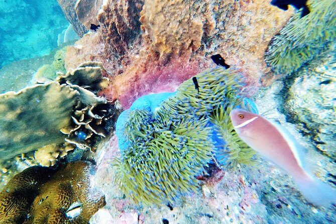 3-Day PADI Open Water Diver Course in Koh Chang - FAQ