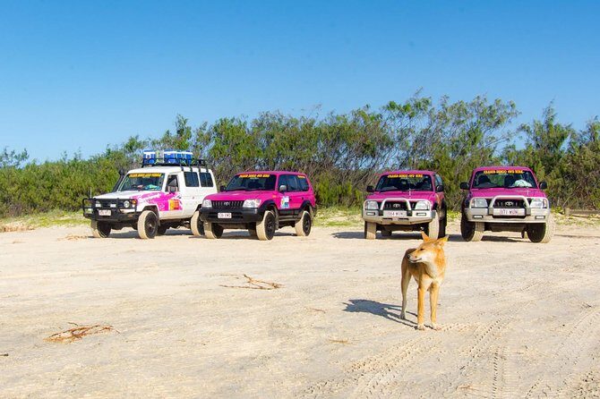 3 Day PINK4WD Tagalong Tour - K'gari/Fraser Island - Setting the Scene: What This Tour Offers
