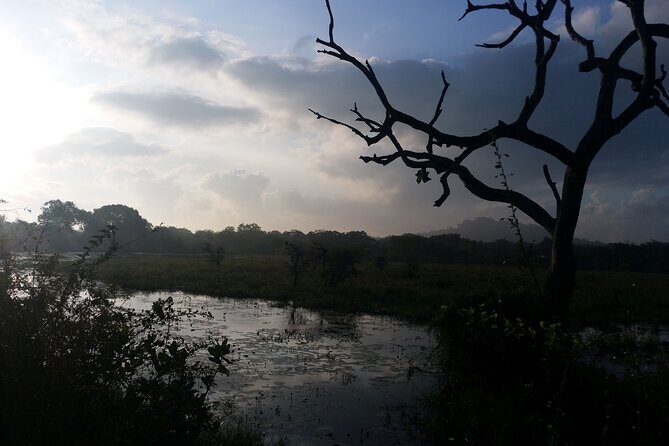 3-Day Private Guided Safari Tour in Yala National Park Sri Lanka - Introduction to the Yala Safari Experience