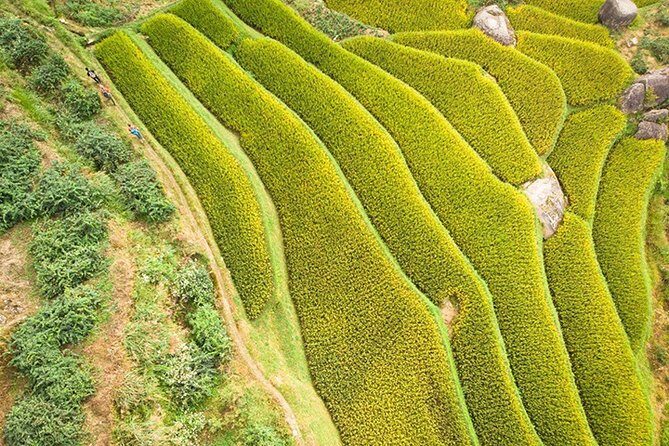 3- Day Private Hiking Trip to Xuefeng Mountain with Accommondation - Key Points