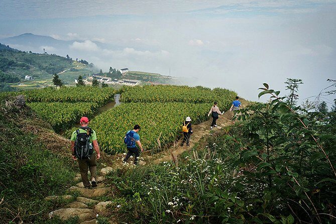 3- Day Private Hiking Trip to Xuefeng Mountain with Accommondation - An In-Depth Look at the Xuefeng Mountain Hiking Tour
