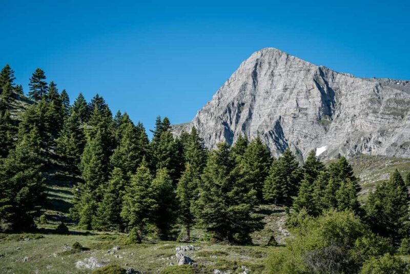 3-Day Private Tour Best of Peloponnese: Sparta & Monemvasia - Who Is This Tour Best For?