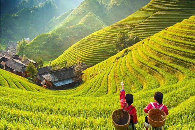 3-Day Private Tour from Chengdu by Air:Guilin, Longji Rice Terrace and Yangshuo - Key Points