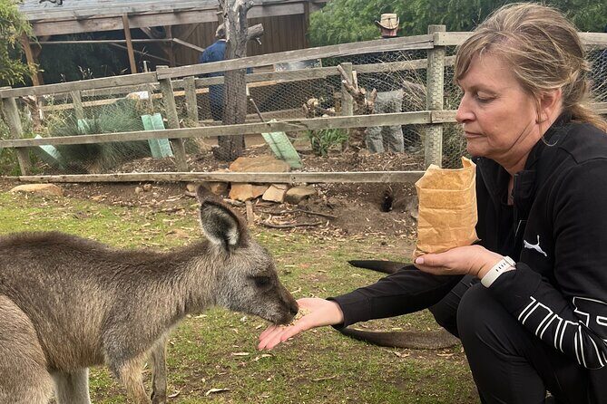 3 Day Private Tour in Tasmania - Who Will Love This Tour?