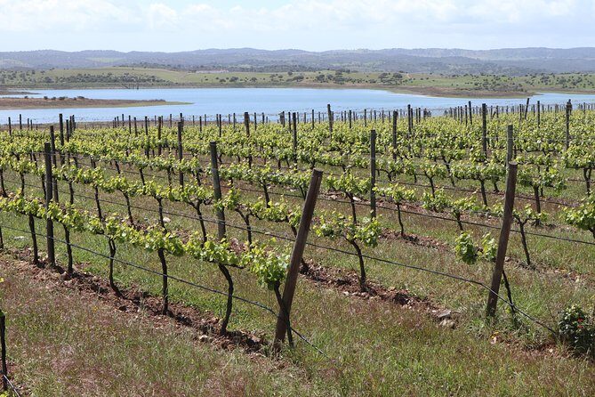 3 Day Private Tour in the Algarve from Lisbon - FAQ