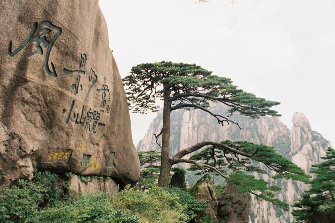 3-Day private tour to Huangshan(Yellow Mountain) and Hong Village from Shanghai - A Deep Dive into the 3-Day Huangshan and Hongcun Tour