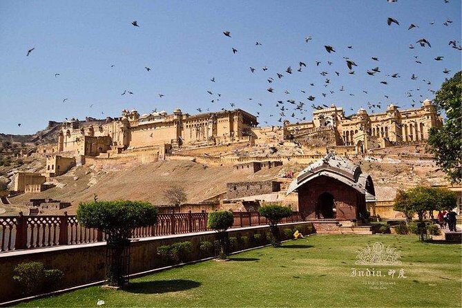3-Day Private Tour to Jaipur from Delhi by Car - What Travelers Say About the Experience