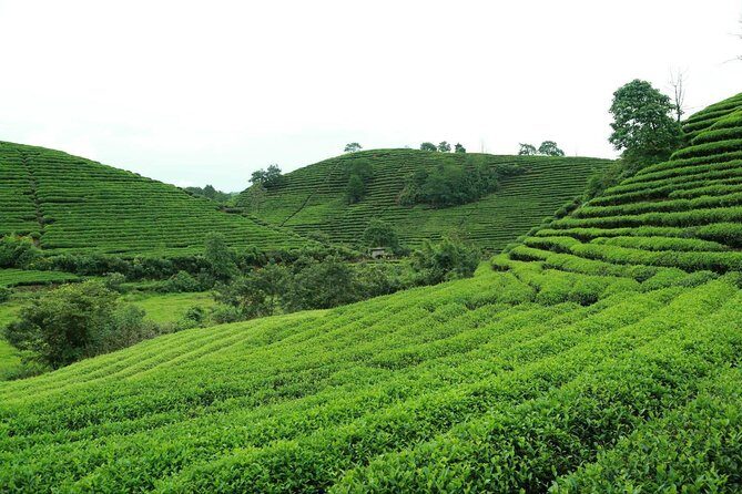 3-Day Private Tour to the World's natural and cultural heritage Mount Wuyi - Final Thoughts