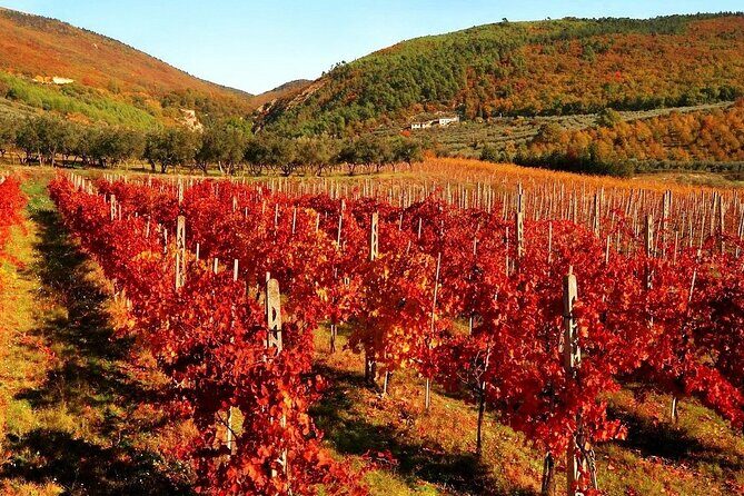 3-Day Private Tuscany Tour from Florence: Wine & Hilltop Towns - Authentic Experiences and Hidden Gems