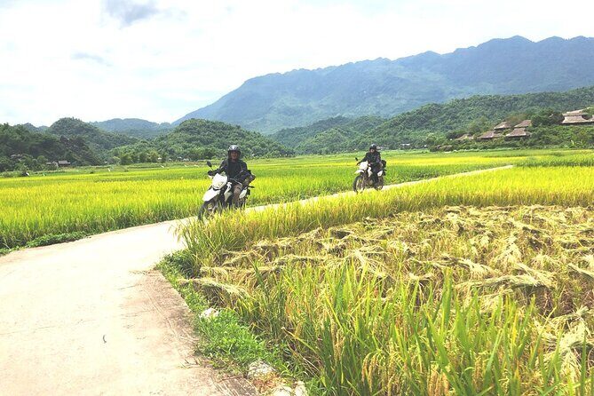 3-Day Pu Luong Jungle Ride Motorbike Tour Transfer from Hanoi - Final Thoughts: Who Is This Tour Perfect For?