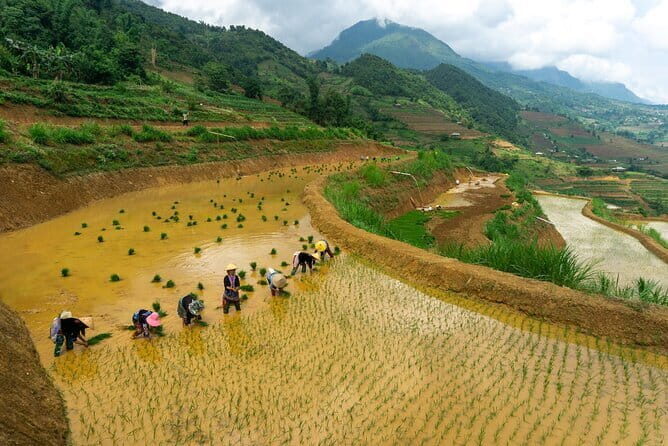 3-Day Pu Luong Natural Reserve from Hanoi, Trek with Local Guide - FAQs