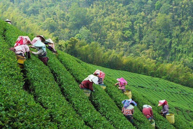 3-Day Remarkable Private Tour of Shanghai, Suzhou and Hangzhou - Practical Aspects of the Tour