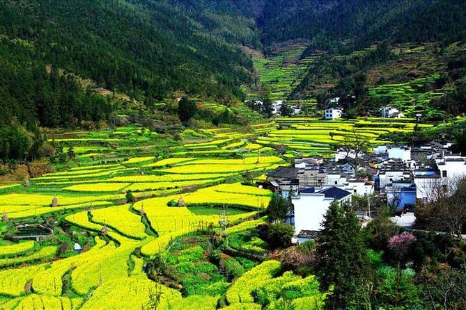 3-Day Remarkable Private Tour of Shanghai, Suzhou and Hangzhou - Who Will Love This Tour?