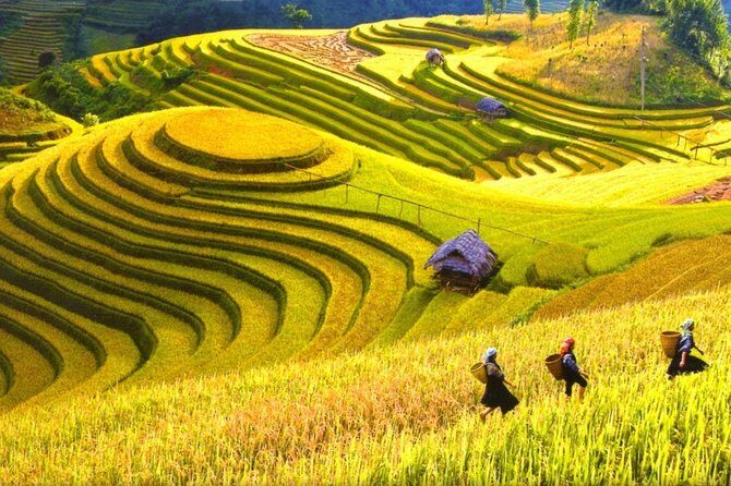 3-day Sapa trekking and Bac Ha market on Sunday - Why this Sapa & Bac Ha Market Tour Stands Out