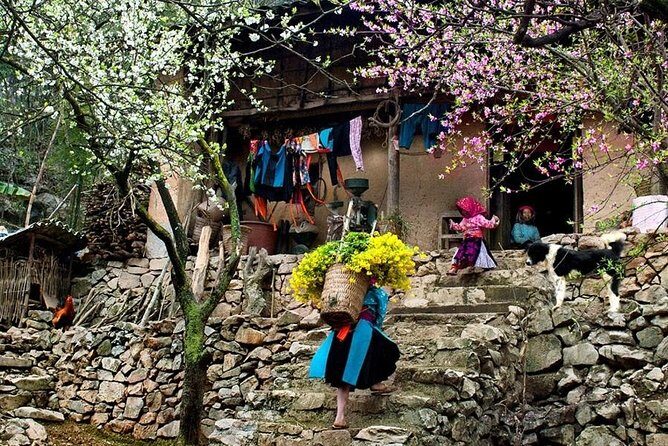 3-day Sapa trekking and Bac Ha market on Sunday - Authenticity and Personal Insights