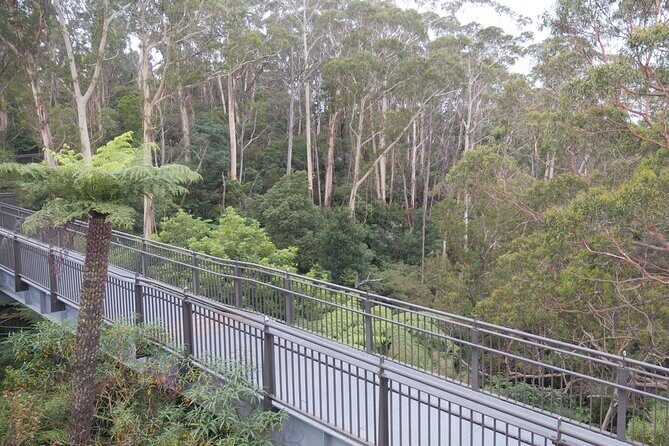 3 Day Scenic Tour of Blue Mountains from Sydney - FAQ