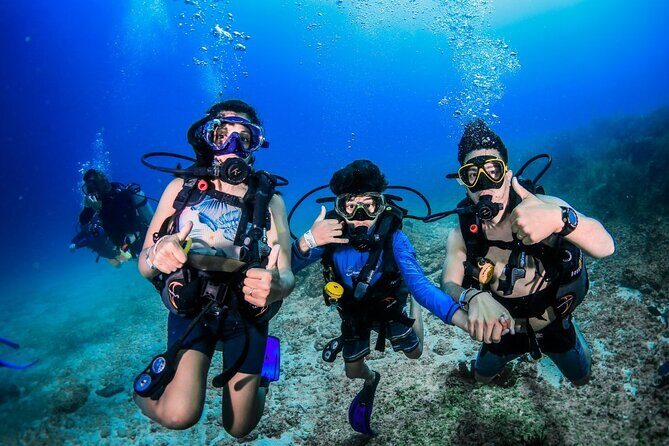 3 Day Scuba Diving Experience with 4 Immersion Courses - Key Points