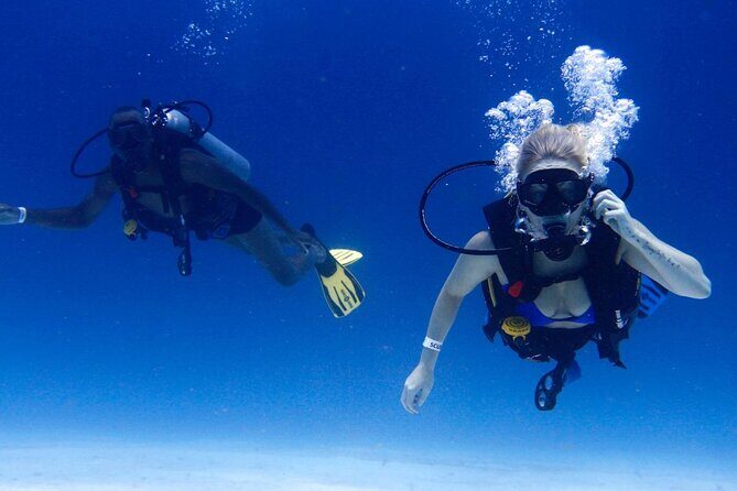 3 Day Scuba Diving Experience with 4 Immersion Courses - Authentic Traveler Feedback