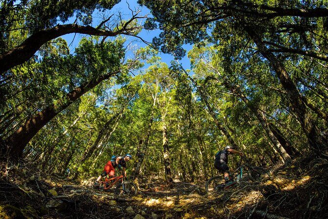 3 Day Shuttle MTB Weekend Adventure in Nelson - Why Choose This Tour?