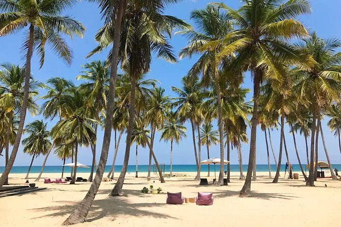 3 Day Sri Lanka Cultural tour and East Coastal tour - Key Points