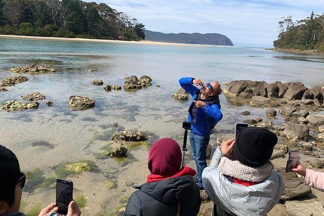 3 day Tasmanian highlights tour Hobart, Port Arthur and Bruny Island - The Sum Up