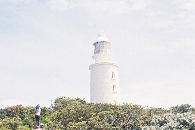 3 Day Tassie Tour Bundle Hobart, Wineglass Bay and Bruny Island - The Cost: Is It Worth It?