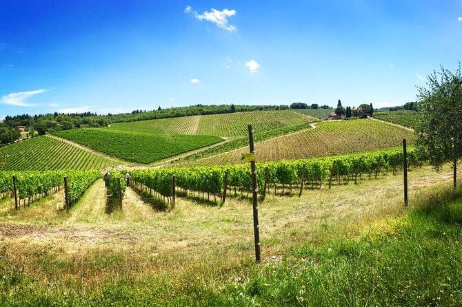 3-Day Tuscany Wine Tour Experience from Florence - A Closer Look at the 3-Day Tuscany Wine Tour Experience