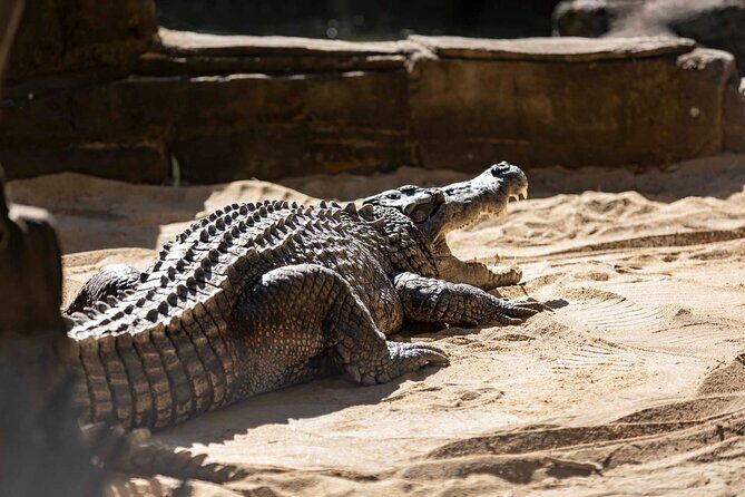 3-Day Unlimited Dreamworld, WhiteWater World & SkyPoint Ticket - FAQs