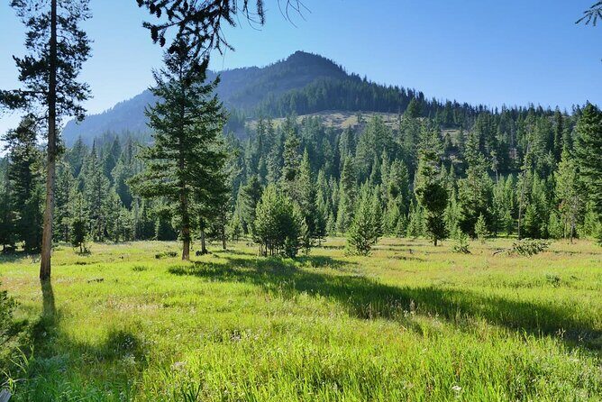 3 Day VIP Small Group Tour of Yellowstone and Grand Teton - What Makes This Tour Stand Out?