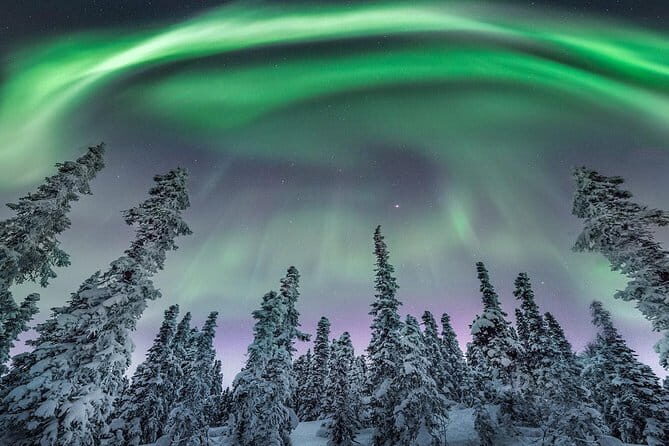 3 Day Winter Mohe Arctic Village Private Tours - Transportation and Practicalities