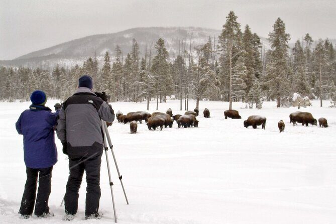 3 Day Yellowstone, Grand Teton Winter Discovery Small Group Tour - Final Thoughts